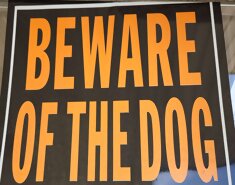 Dog Bite Lawyer Philadelphia Dog Attack